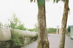 抖音粉丝增加的说说怎么写_抖音粉丝增加文案怎么写缩略图