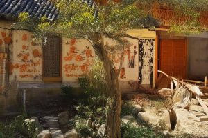 颜九抖音最初多少粉丝_颜九抖音粉丝数始？缩略图