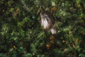 抖音评论过的怎么找出来_抖音评论寻法缩略图