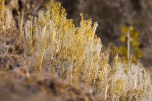 抖音食品粉丝群怎么创建_抖音食品群创建方法缩略图