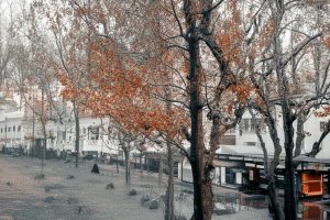 同城做抖音怎么涨粉快呢_同城抖音涨粉技巧缩略图