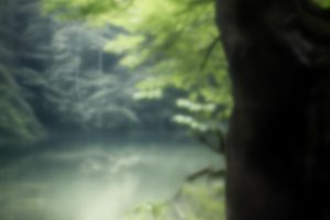 抖音怎么粉丝更多_抖音涨粉技巧缩略图 抖音怎么粉丝更多_抖音涨粉技巧缩略图