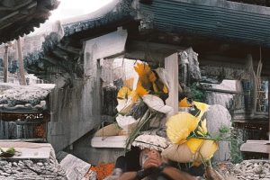 抖音十三种赚钱方式是什么_抖音赚钱法有哪些？缩略图