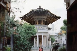平民抖音怎么涨粉最快_抖音快速涨粉秘诀缩略图