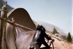 抖音谁家粉丝最厉害啊_抖音粉丝哪家强?缩略图 抖音谁家粉丝最厉害啊_抖音粉丝哪家强?缩略图