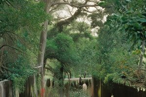 抖音里面的收藏的视频怎么删除_抖音收藏视频删除方法缩略图